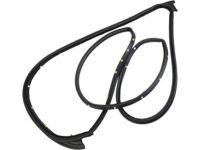GM 84576686 Door Weatherstrip, Rear Driver Side