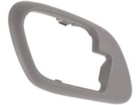 GM 15708079 Handle Bezel, Driver Side