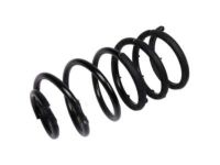 GM 10391592 Coil Spring, Rear Passenger Side