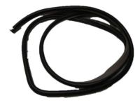 Chevrolet Aveo Weather Strip - 96467379 Door Weatherstrip, Black