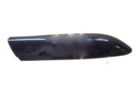 GM 25832916 Rail Cover, Passenger Side GM 25832916 Rail Cover, Passenger Side