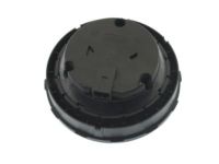 GM 19167560 Motor, Rear