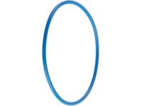 GM 12577653 Filter Cover O-Ring