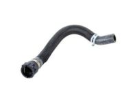 GM 92252955 Hose, Heater