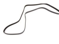 GM 12653318 Serpentine Belt GM 12653318 Serpentine Belt