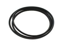 GM 22815954 Sunroof Glass Seal