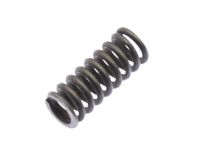 GM 14082096 Spring, Transmission Shift Shaft Detent