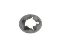 GM 11612177 Hinge Washer