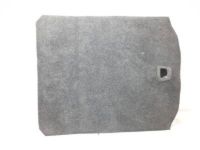 GM 23448569 Floor Cover, Rear