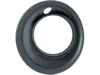 GM 22829540 Lamp Bezel, Front Driver Side