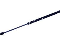 GM 25796762 Lift Cylinder GM 25796762 Lift Cylinder