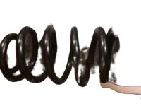 Chevrolet Coil Springs - 20942619 Spring, Rear