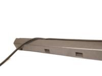GM 95374121 Rocker Molding