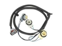 GM 16532721 Harness, Driver Side
