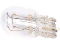 GM 13591403 Turn Signal Bulb