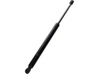 GM 15120902 Lift Cylinder, Driver Side