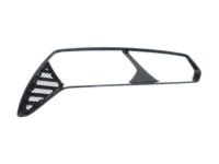 GM 23406884 Lamp Bezel, Driver Side, Carbon GM 23406884 Lamp Bezel, Driver Side, Carbon