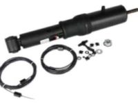 GM 19258496 Shock Absorber, Rear