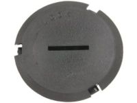 GM 10435410 Plug, Capsule/Headlamp Trim GM 10435410 Plug, Capsule/Headlamp Trim