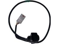 GM 23506691 Camera, Front Driver Side