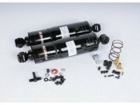 GM 19169325 Shock Absorber, Rear