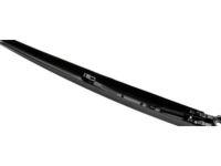 GM 20935081 Wiper Arm, Rear