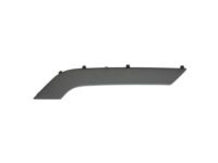 GM 23291498 Trim Molding, Black, Front Passenger Side