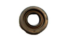 GM 12569986 Seal, Differential Carrier Housing