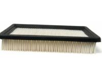 Buick Rendezvous Parts - 19166106 Air Filter