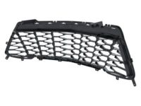 GM 23505817 Lower Grille, Black, Front