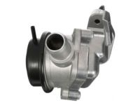 GM 21210000 Valve, Emission Control System
