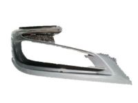 GM 42491763 Finish Molding, Driver Side