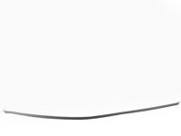 GM 96686919 Roof Molding