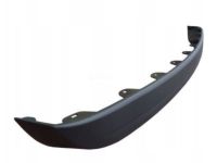 GM 344171 Lock, Rear