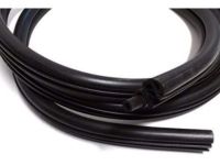 Buick Terraza Weather Strip - 10449198 Door Weatherstrip, Front