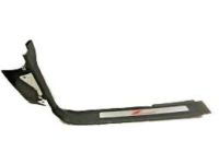 GM 23433416 Sill Plate, Jet Black, Front Driver Side