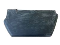 GM 84663443 Step, Black, Front Outer Driver Side