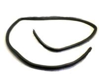 Buick Rendezvous Weather Strip - 10313535 Weatherstrip, Front