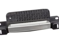 Cadillac SRX Door Handle - 15898427 Handle, Silver, Rear