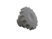 GM 89039812 Knob, Gray