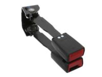 GM 19300846 Buckle, Black, Rear