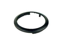 GM 96541651 Handle Bezel