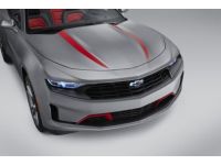 GM 84356655 Stripe Package, Red