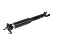 GM 19355570 Shock Absorber, Driver Side