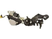 GM 19256870 Lap & Shoulder Belt, Driver Side