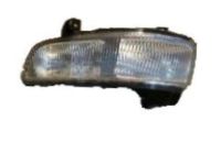 GM 25797624 Fog Lamp Assembly, Front Passenger Side GM 25797624 Fog Lamp Assembly, Front Passenger Side