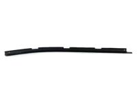 GM 23182542 Belt Molding, Front Driver Side