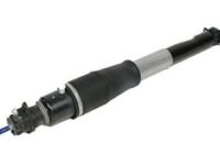 Cadillac DTS Shock Absorber - 19302769 Shock Absorber, Passenger Side