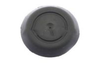 GM 15788083 Lift Gate Trim Plug