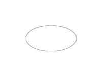 GM 15798231 Water Pipe Seal